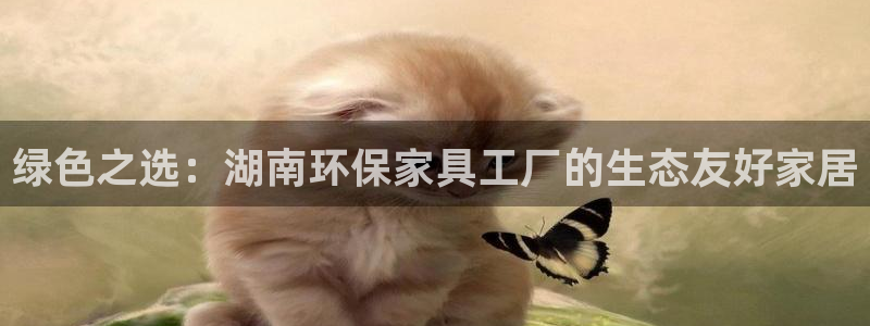 杏耀官网主管
