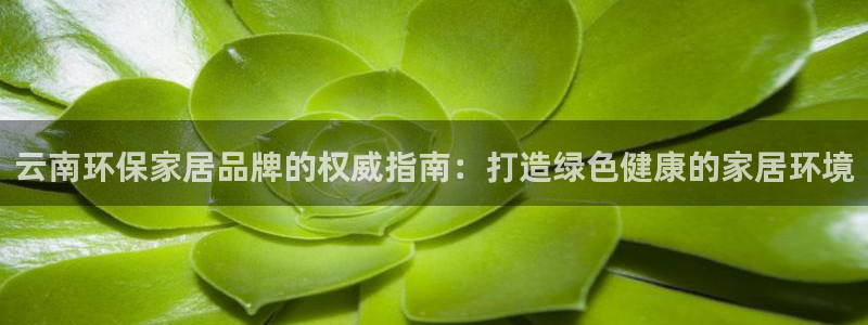 杏耀平台注册网址