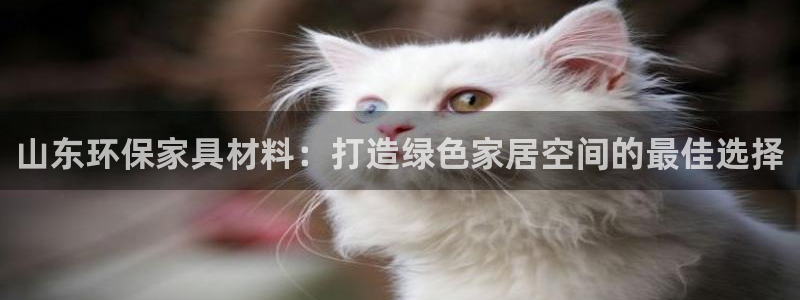 杏耀平台没有了