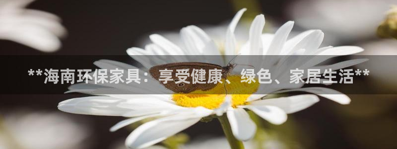杏耀测速注册