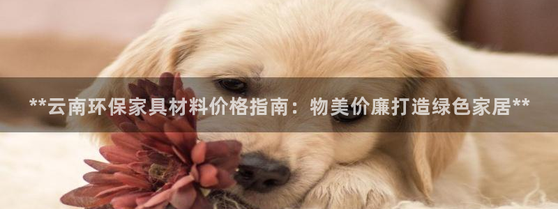 杏耀平台代理登录网址是多少