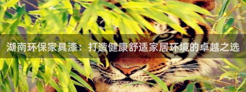 杏耀平台登录首页