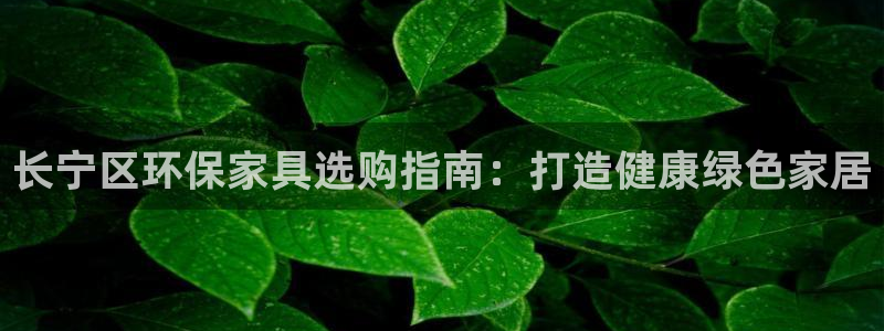 杏耀注册登录代理