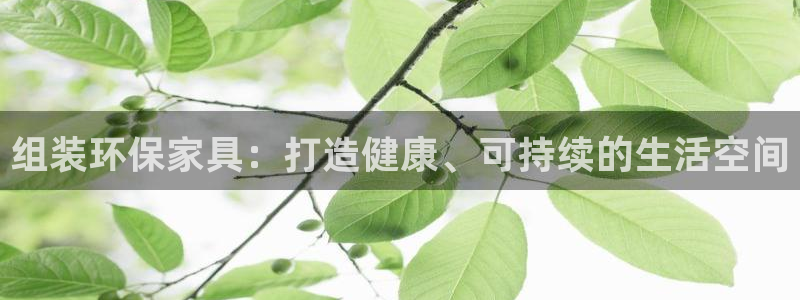 杏耀手机网页登录入口