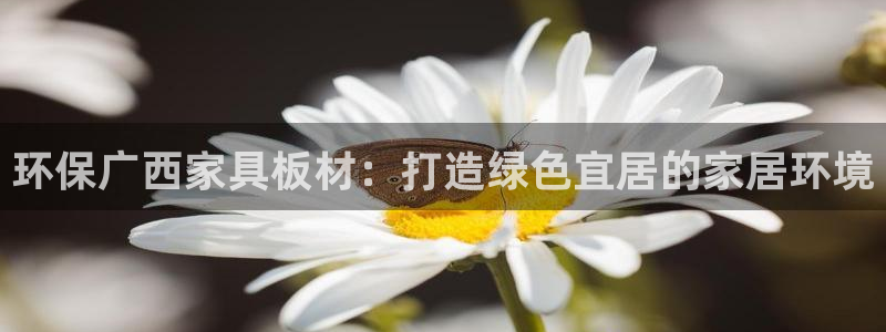杏耀平台代理登录网址是多少