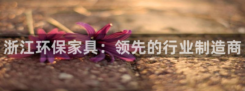 杏耀软件