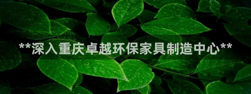 杏耀平台一安全注册入口