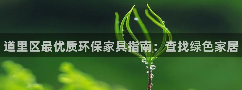 杏耀代理日工资多少：道里区最优质环保家具指南：查找绿色家居