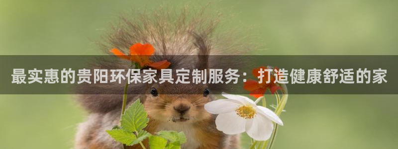 杏耀平台官方登录：最实惠的贵阳环保家具定制服务：打造健康舒适