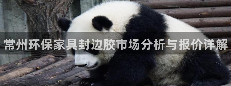 杏耀注册登陆：常州环保家具封边胶市场分析与报价详解