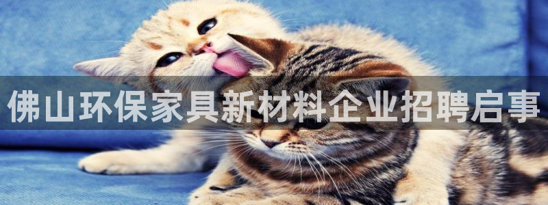 杏耀平台官方网站下载：佛山环保家具新材料企业招聘启事