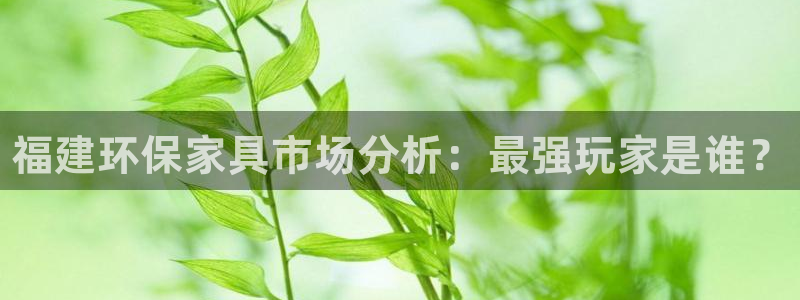 杏耀总代：福建环保家具市场分析：最强玩家是谁？