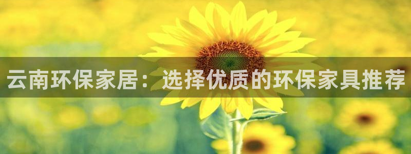 杏耀平台线路测速登录：云南环保家居：选择优质的环保家具推荐