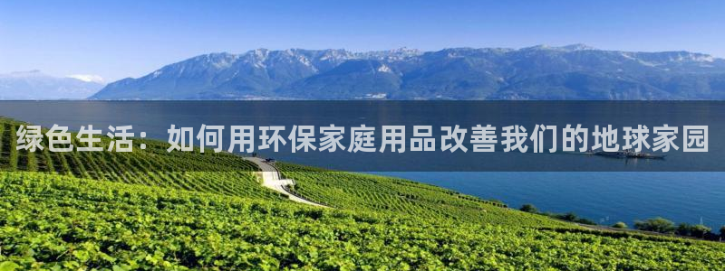 杏耀官方注册中心：绿色生活：如何用环保家庭用品改善我们的地球