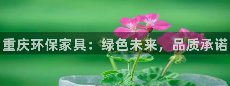 杏耀平台登录入口：重庆环保家具：绿色未来，品质承诺